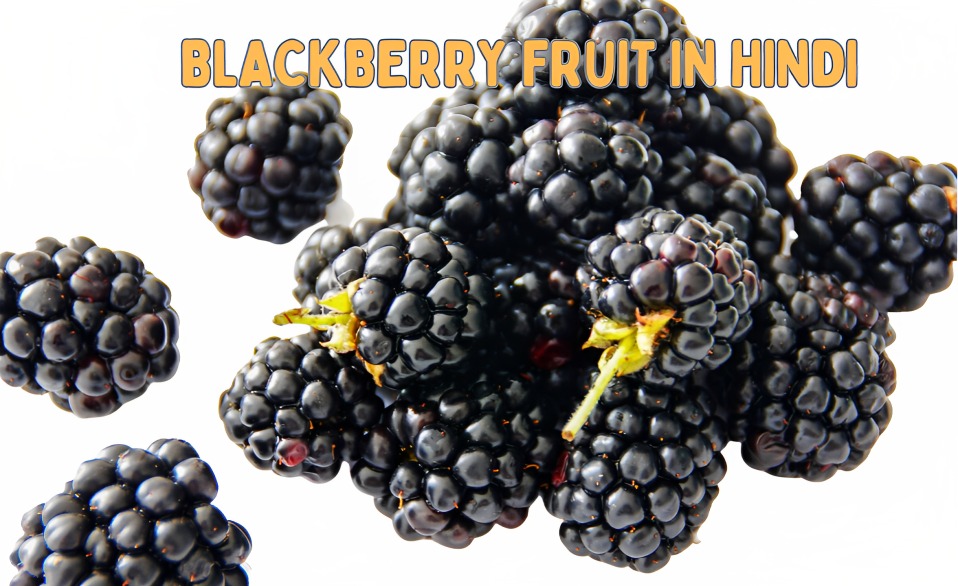 Blackberry Fruit in Hindi