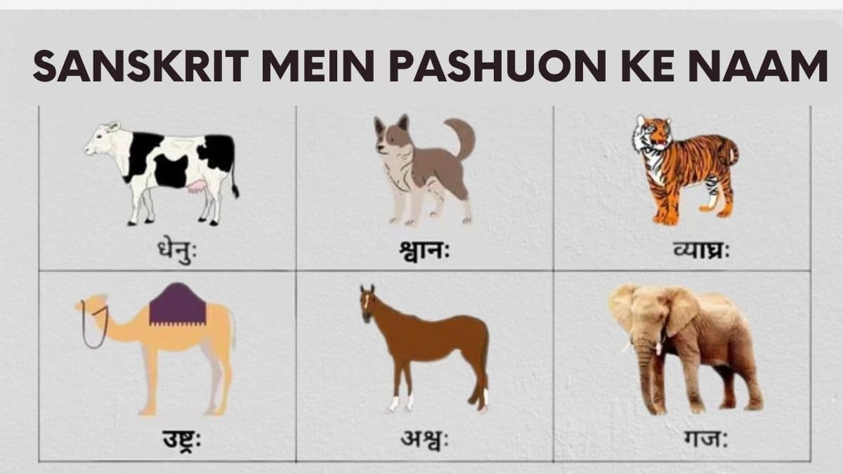 Sanskrit Mein Pashuon Ke Naam