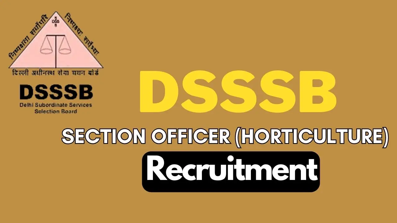 DSSSB Section Officer